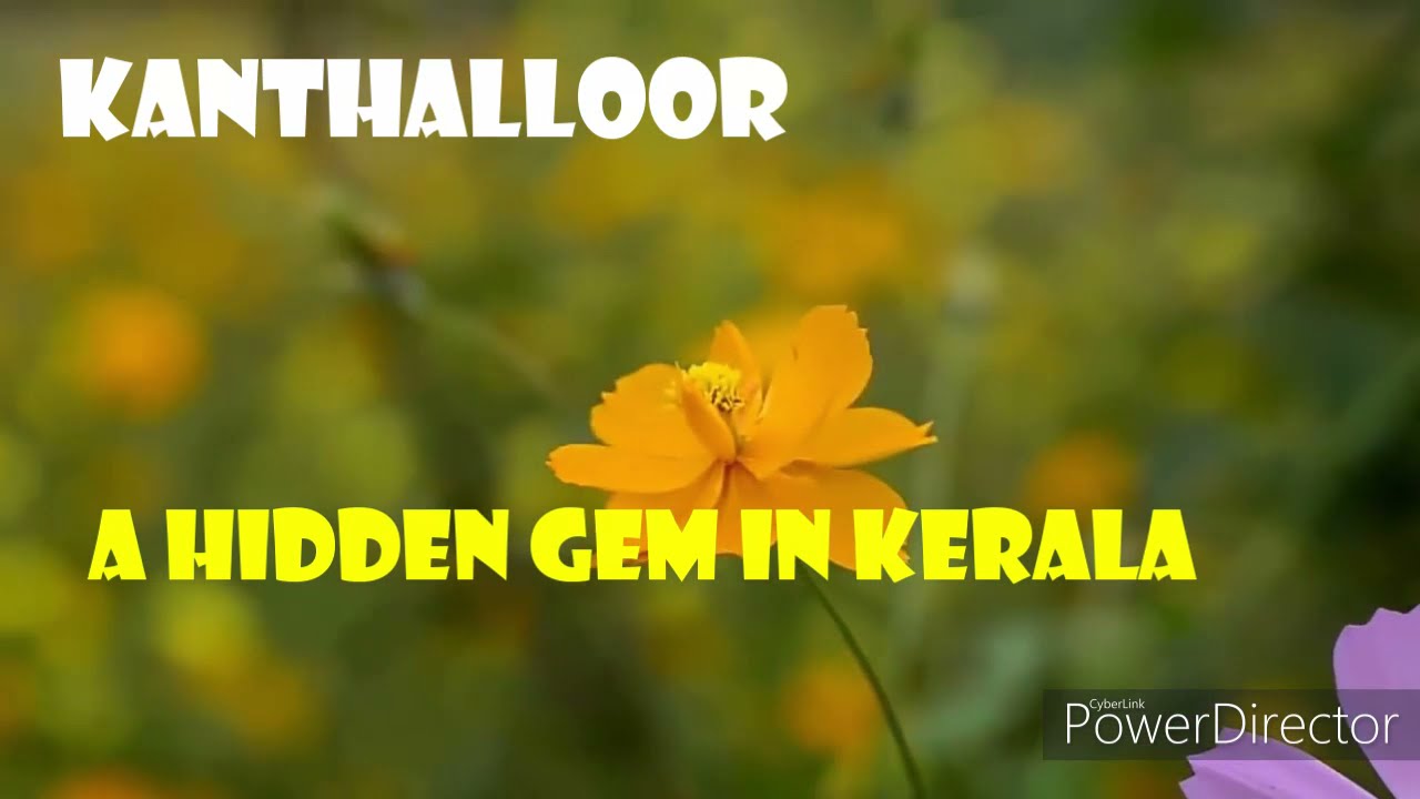 KANTHALLOOR | EP104 | FRUITS FARM, Munnar. ( A Hidden Gem in Kerala, Kanthalloor.).