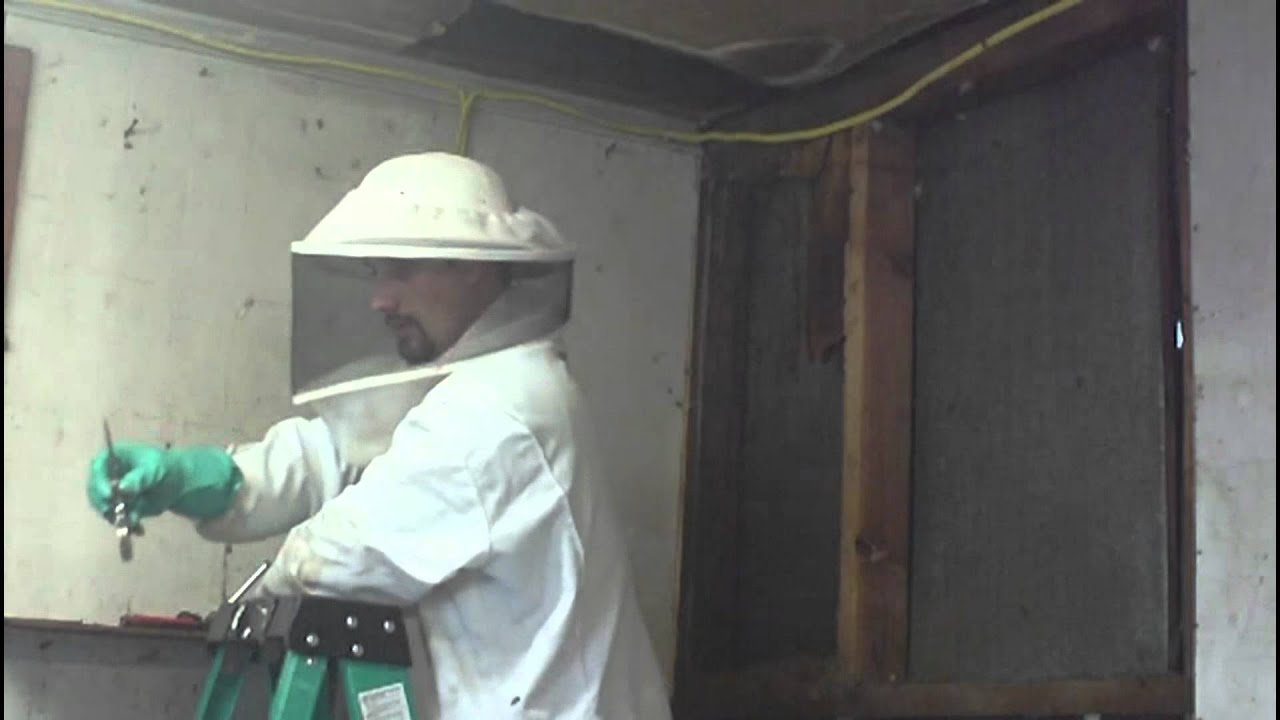 Collecting beehive from shed wall 5-16-2012 Part 1