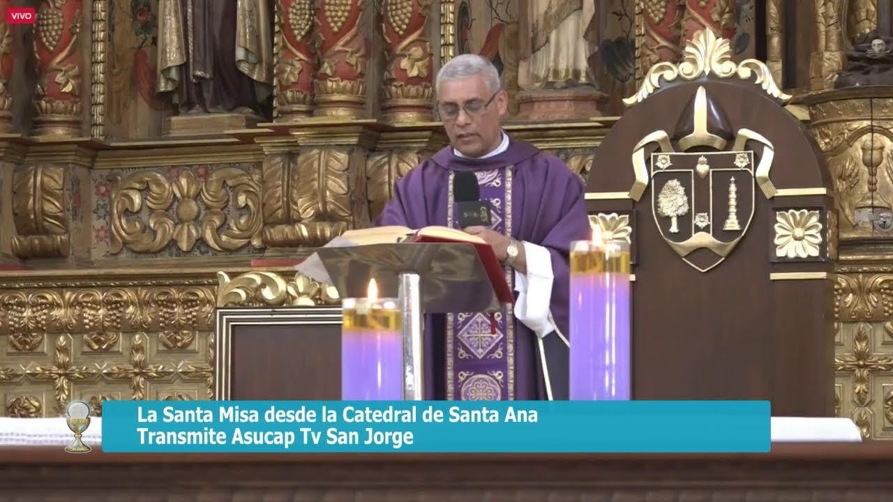 ENVIVO
