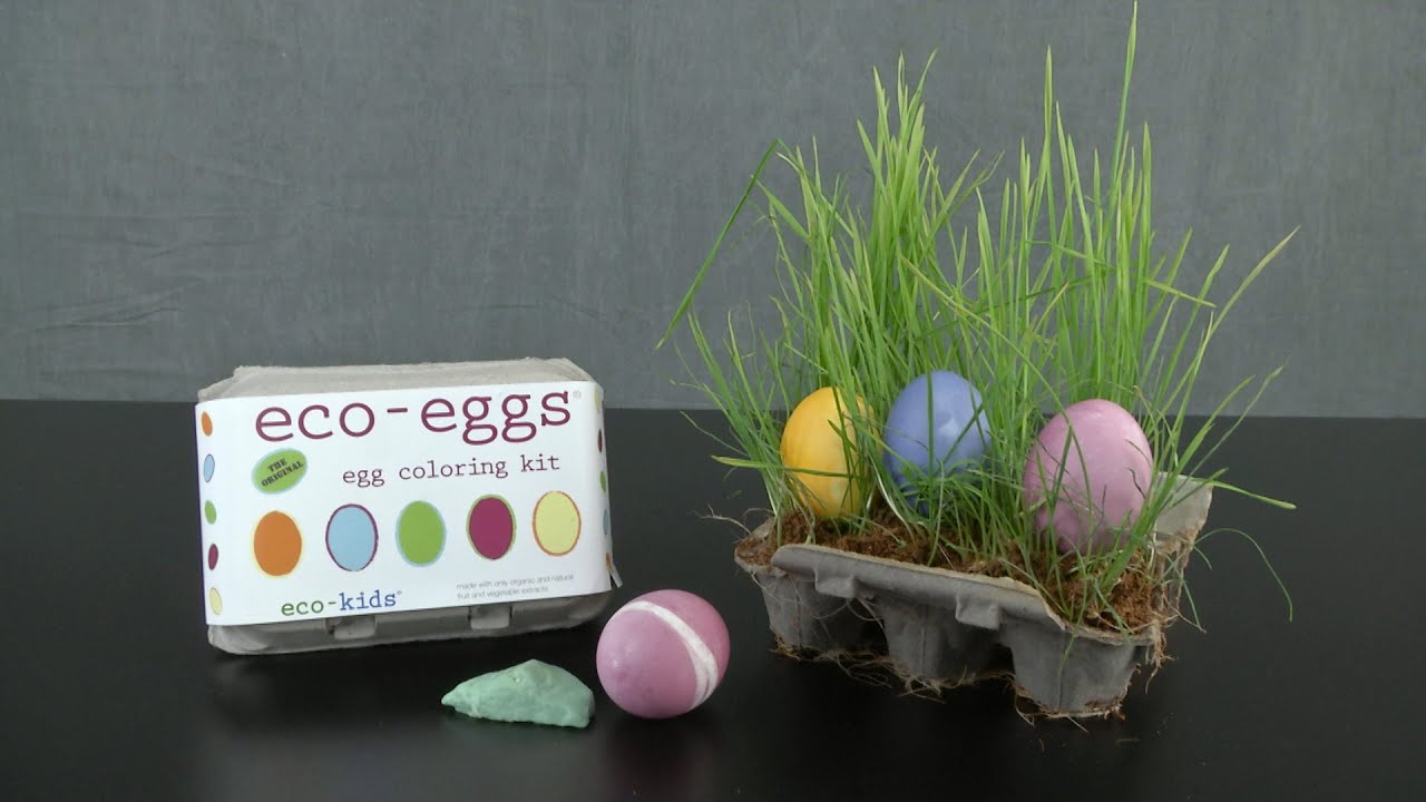 Eco-Eggs Egg Coloring Kit with Grass from Eco-Kids