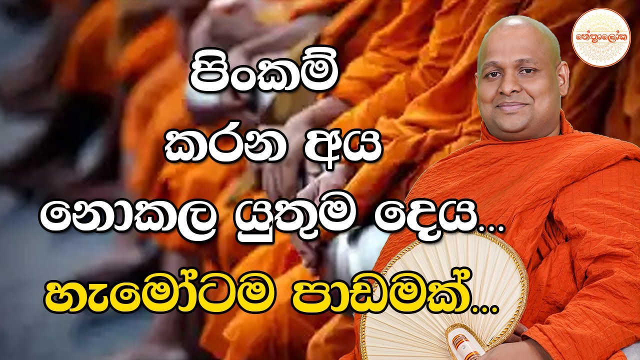 Kuttikulame Pemalankara Thero l Meth Neth Pamula l 2025 11 09