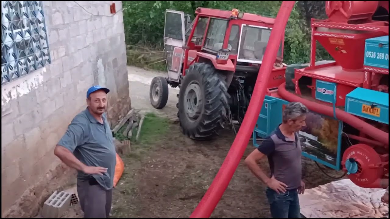 Fındık sezonu sonu patoz işleri başladı #fındık #patoz #2023 #vlog #nature #karadeniz #ağustos #