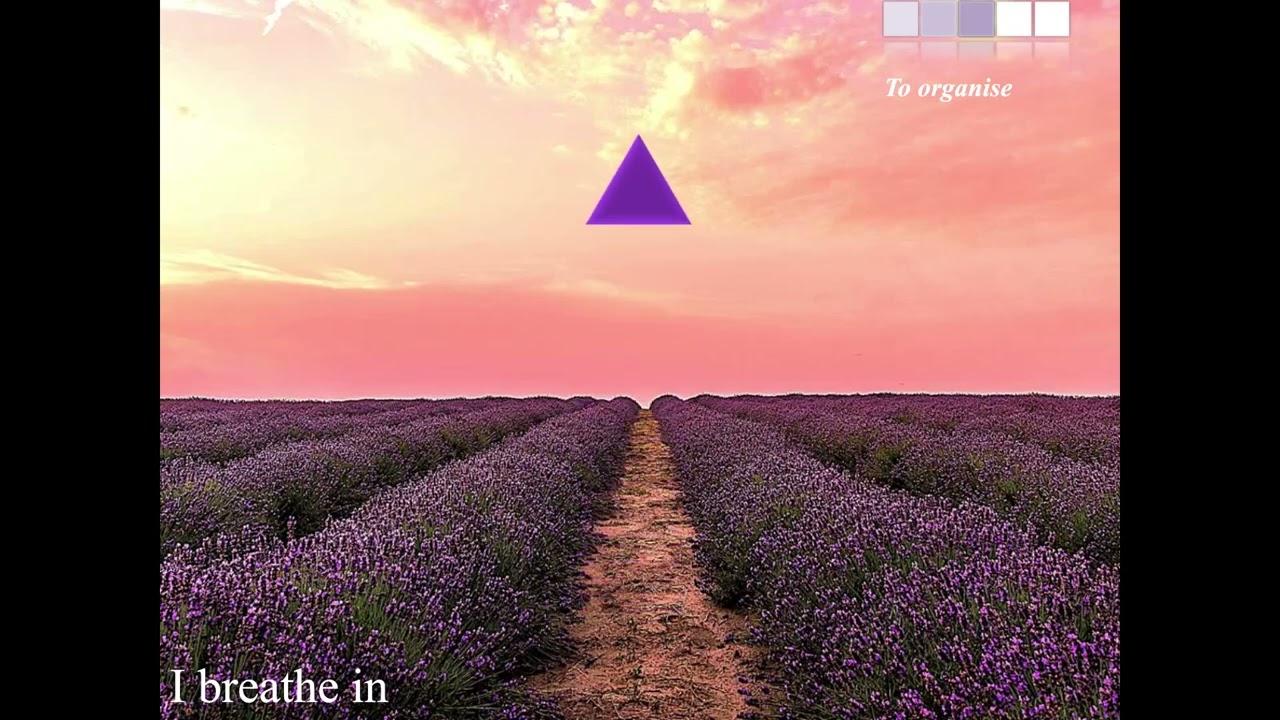 CARDIAC COHERENCE - RELAXATION - Exercise 20 - 5 min