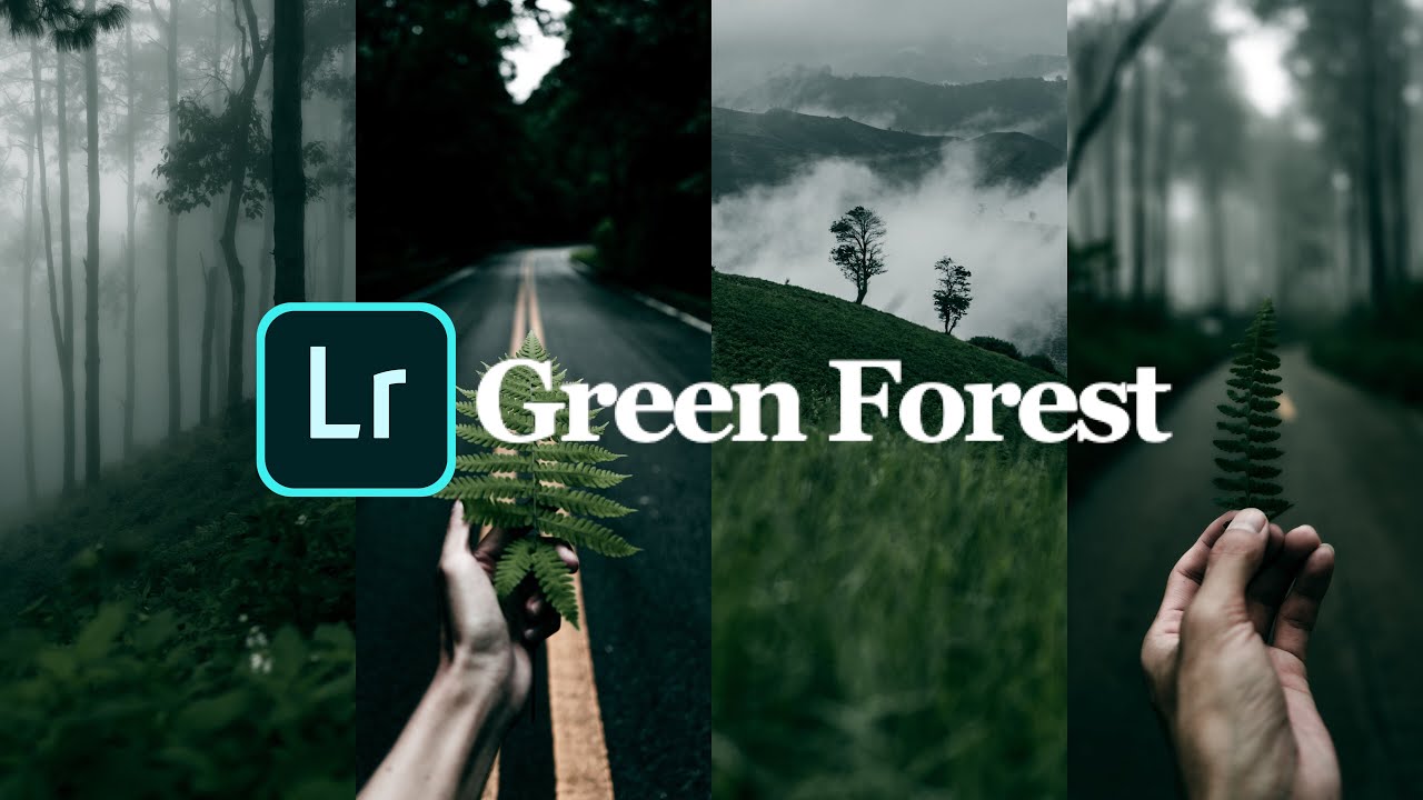 Forest Green tone edit on Lightroom Mobile (แต่งรูปโทนป่า บน Lightroom Mobile) #lightroom