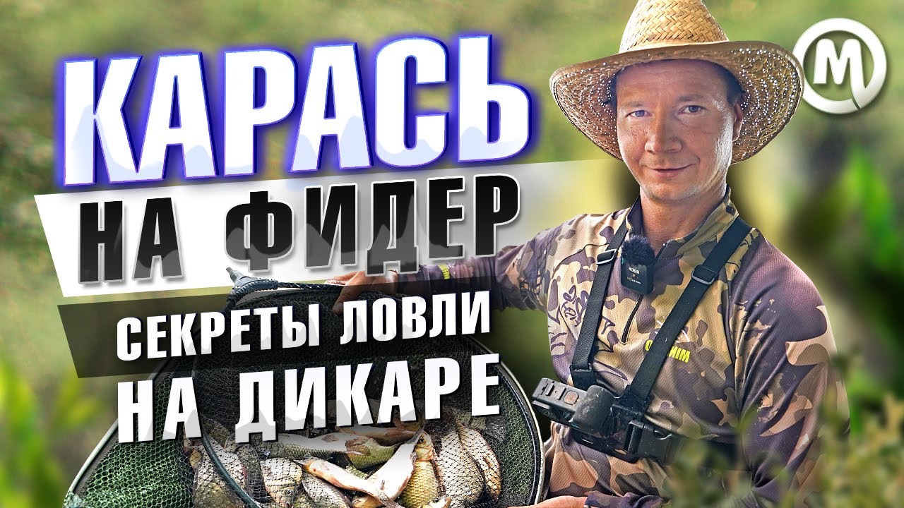 Карась на фидер! Секреты ловли на дикаре