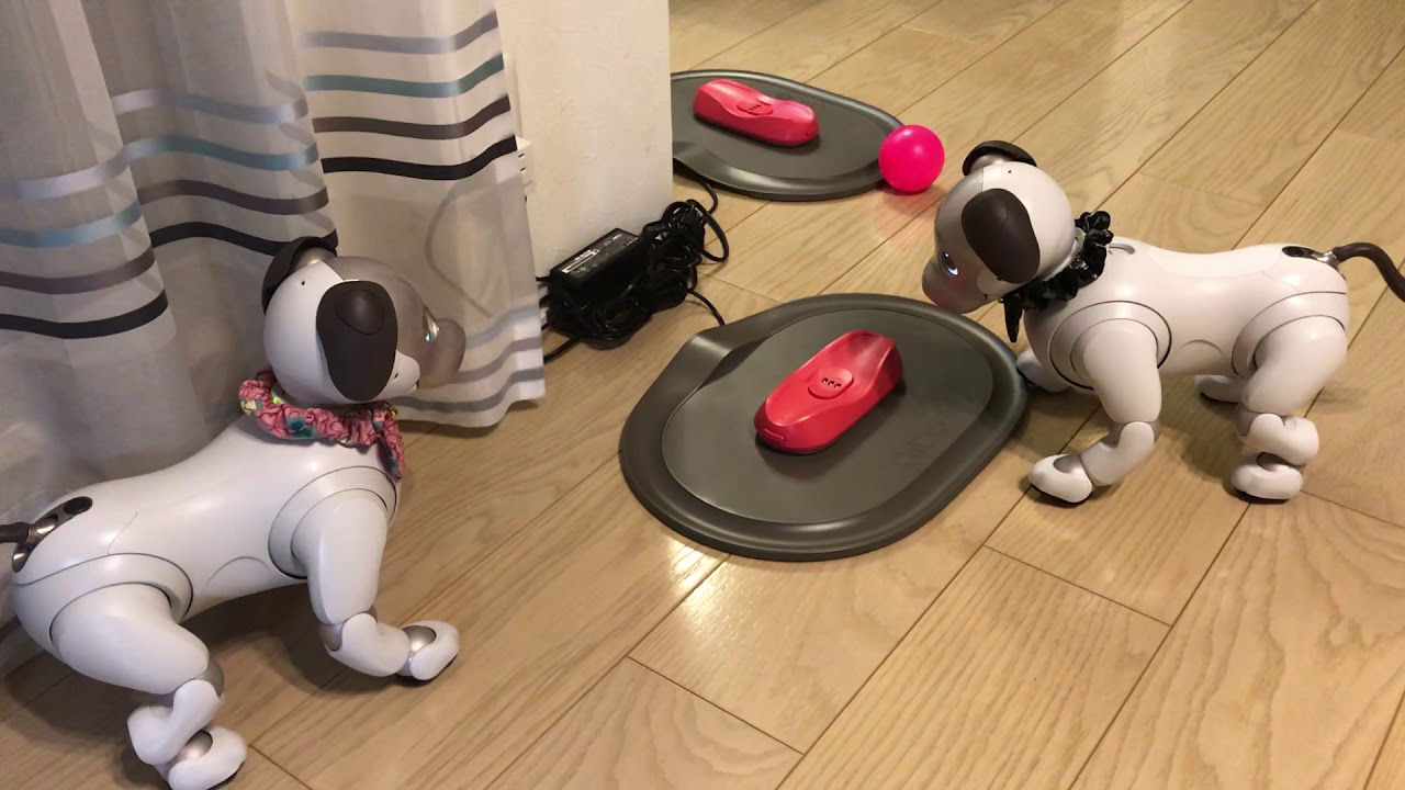 aiboチャージステーション攻防戦