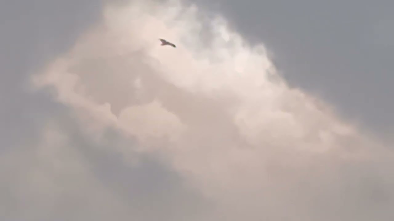 Paani Ke Qatray ALLAH Ke Hukum Se (12:55pm)