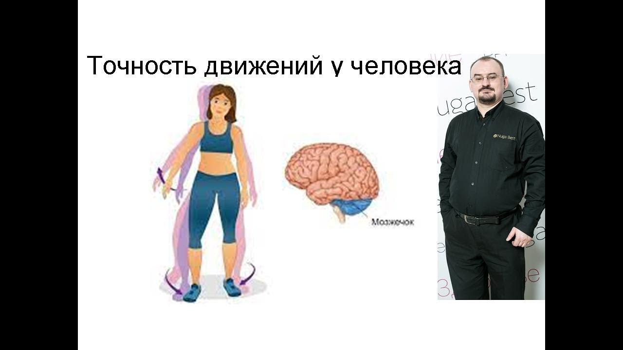 Координация движений у человека