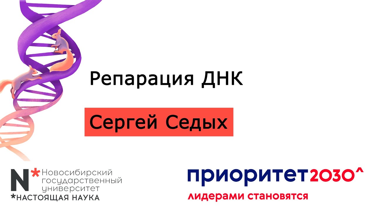 F12. Репарация ДНК // Сергей Седых, НГУ