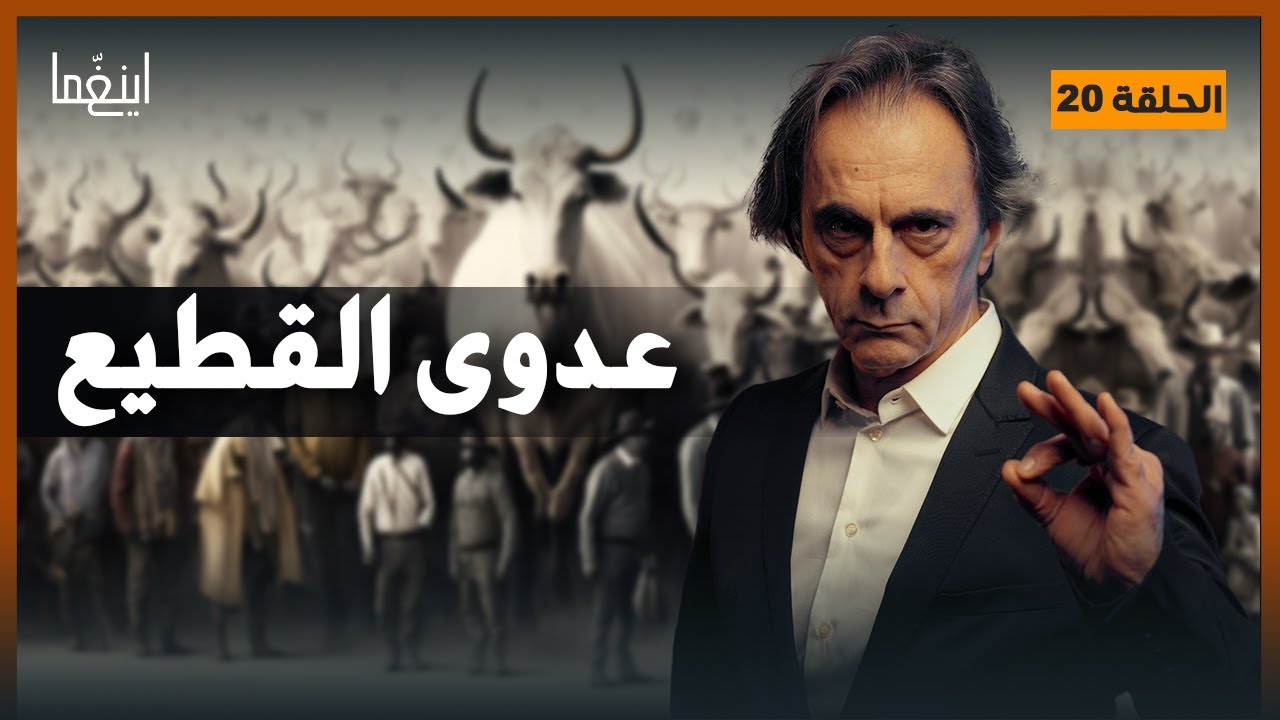 عدوى القطيع - اليد الخفية المتحكمة بأفكارك وقراراتك / د. مأمون علواني - برنامج إينغما