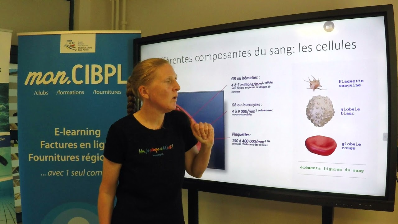 E-learning Niveau 4 : Le sang