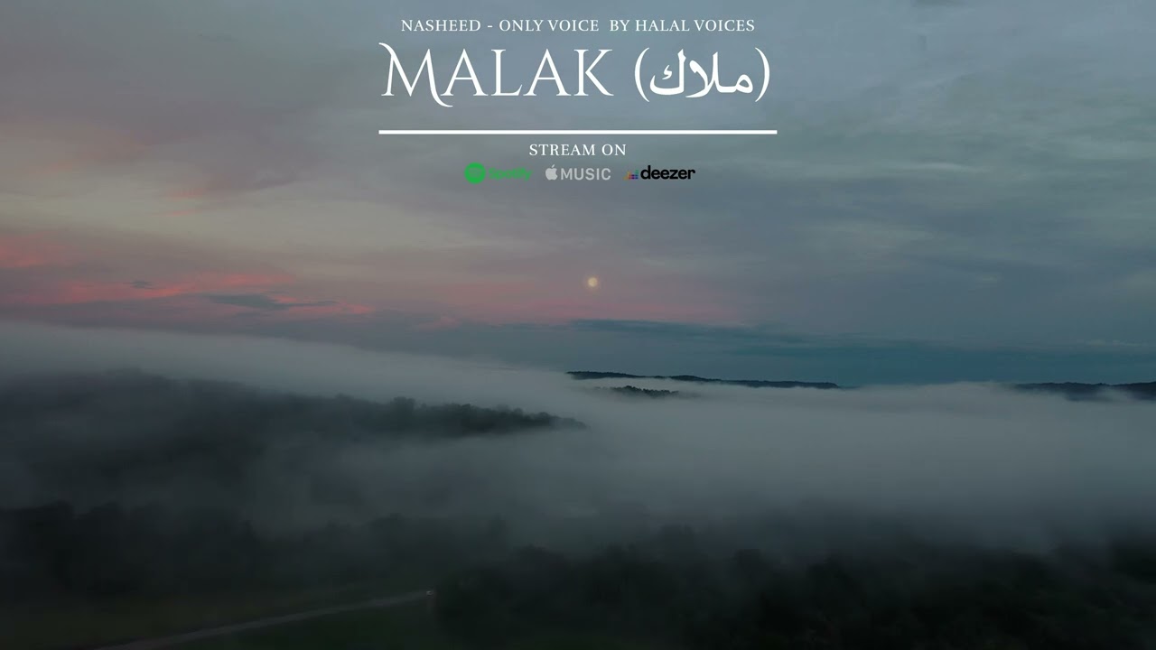 Malak (Clips) | Halal Voices