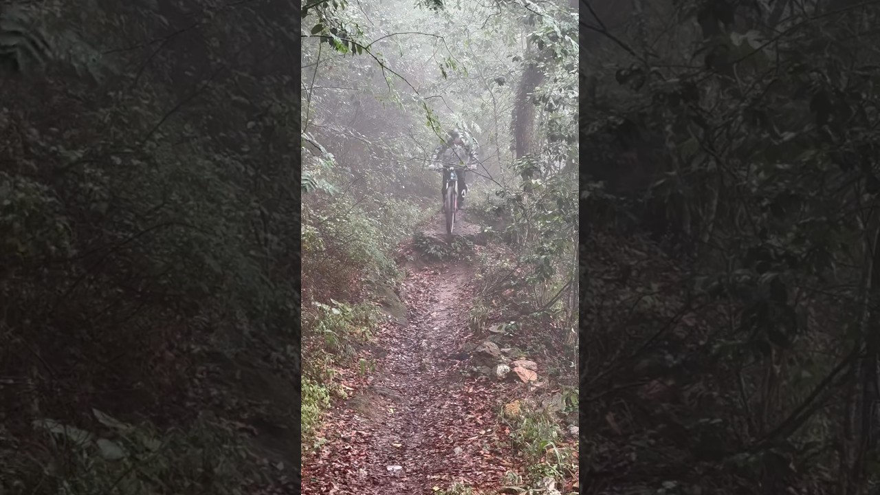 What a beautiful day to go outside #bicicleta #nature #endurolife #downhill #rain #enduro