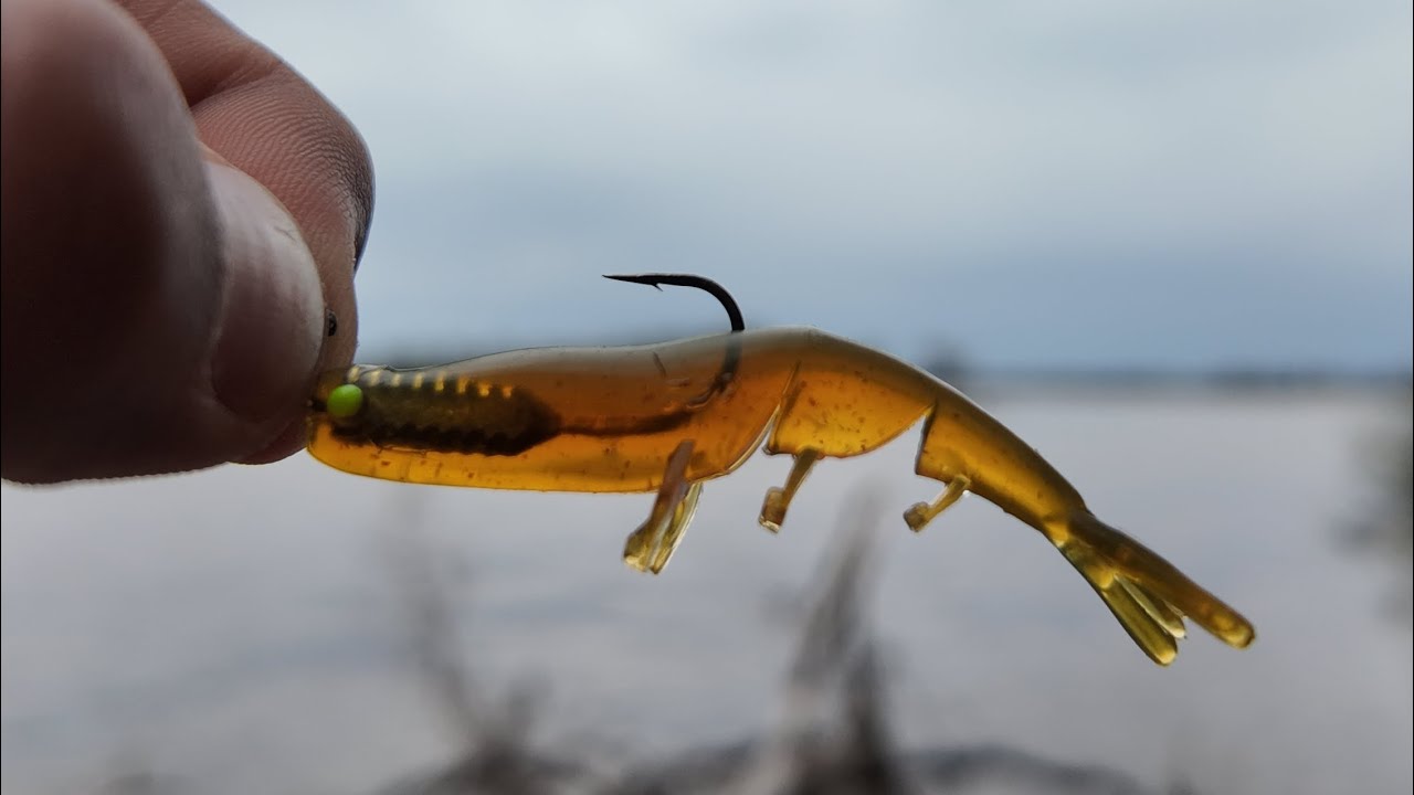 Winter Bream Go CRAZY Over This Lure! | Perth Bream Fishing