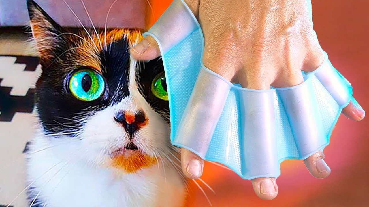 NOUS  AVONS ACHETÉ CA SUR ALIEXPRESS!