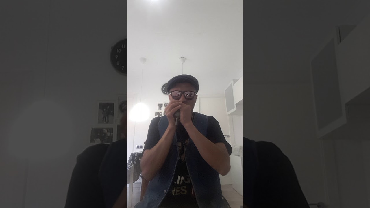 GARY BLUES HARMONICA