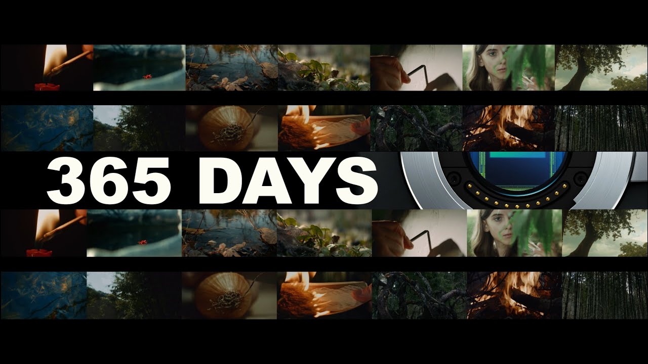 12 Months with the BMPCC-OG