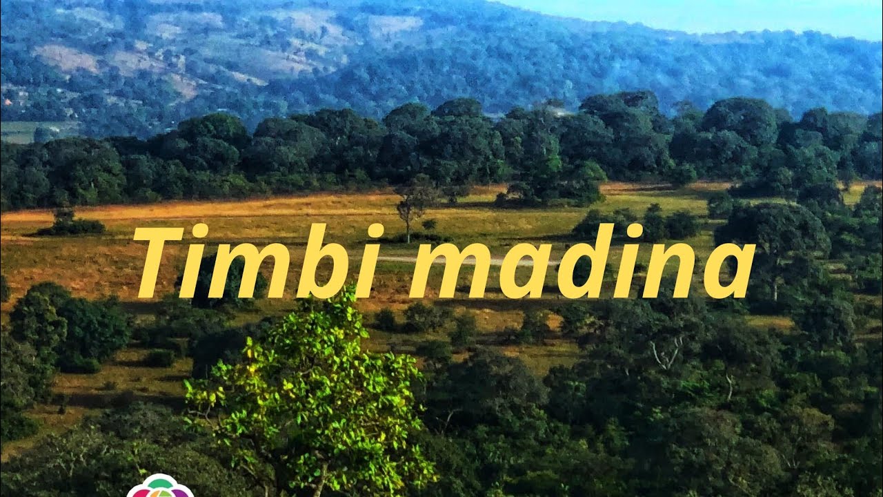 Documentaire sur Timbi Madina