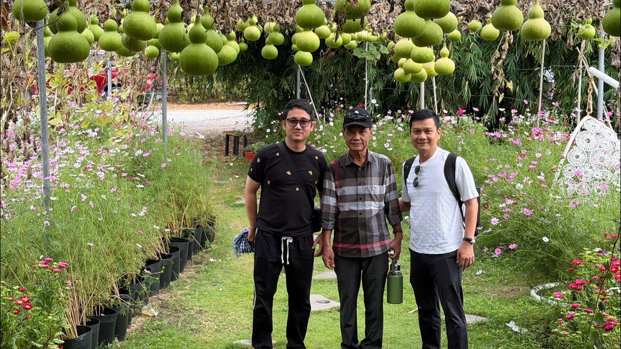 CÙNG QUẠI THĂM NÔNG TRANG BÌNH AN 100ha !! 