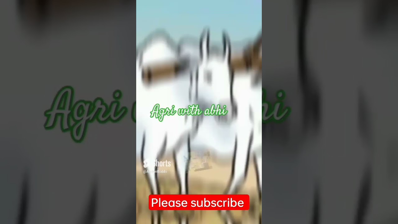 #video #motivation #viral #fact #shorts #video #viral