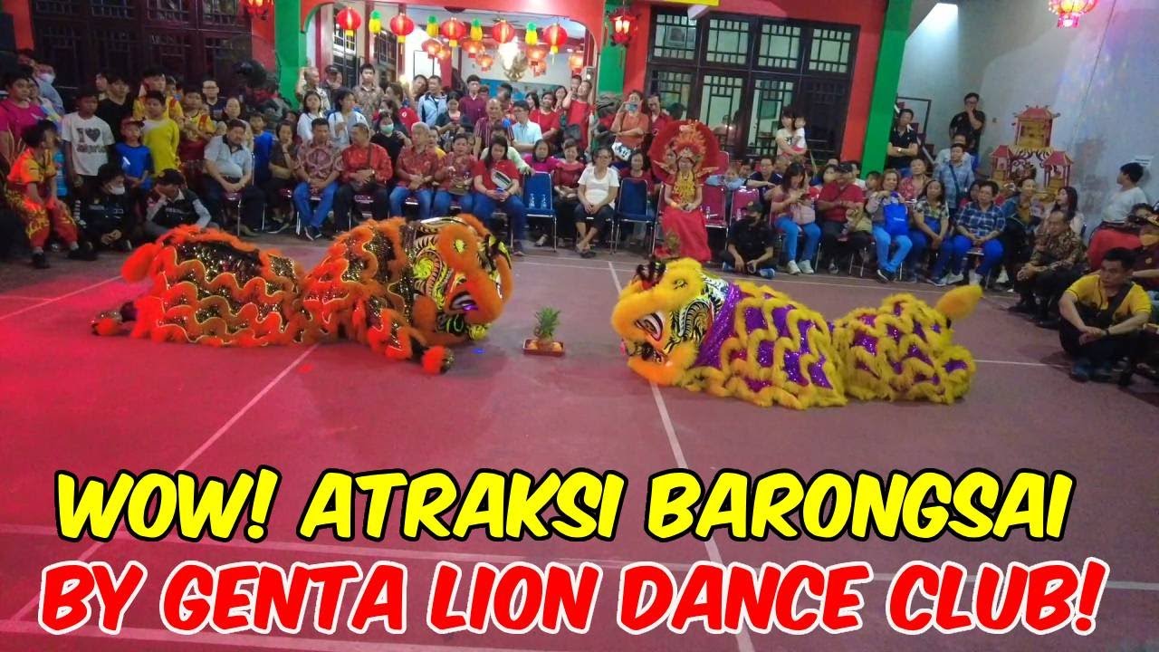 ATRAKSI BARONGSAI BY GENTA LION DANCE DI LITANG KHONGCU BIO PASAR LAMA TANGERANG, SERU BANGET GAES!