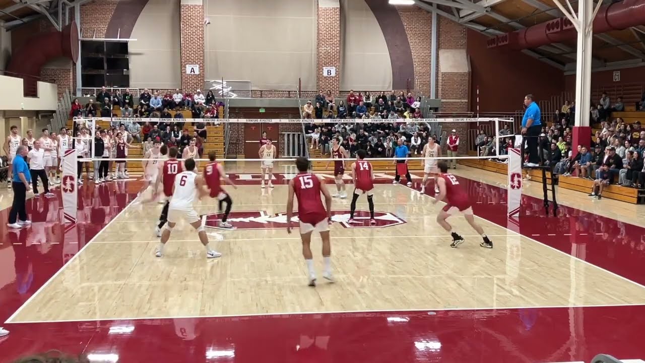 Stanford vs Loyola Men's Volleyball 2024