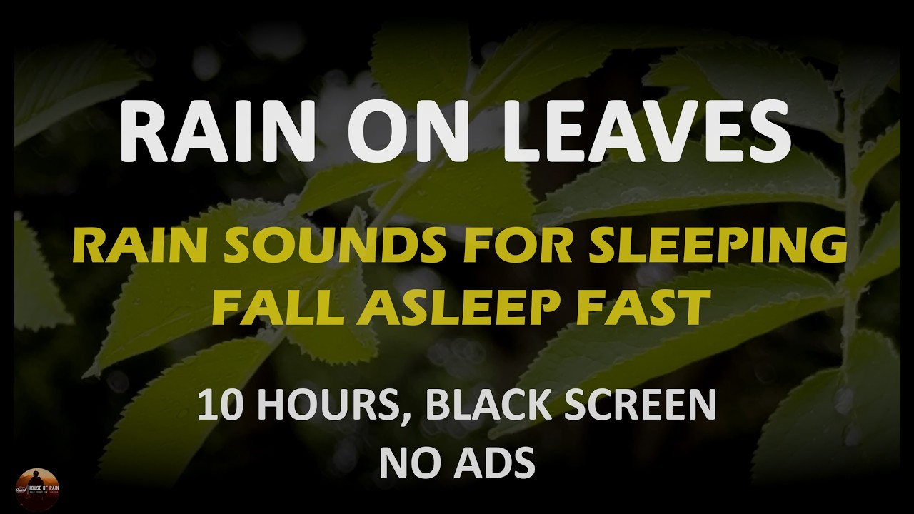 NO ADS, Rain Sounds to Fall Asleep Fast, Rain Sounds Black Screen, Relaxing Rain No Thunder