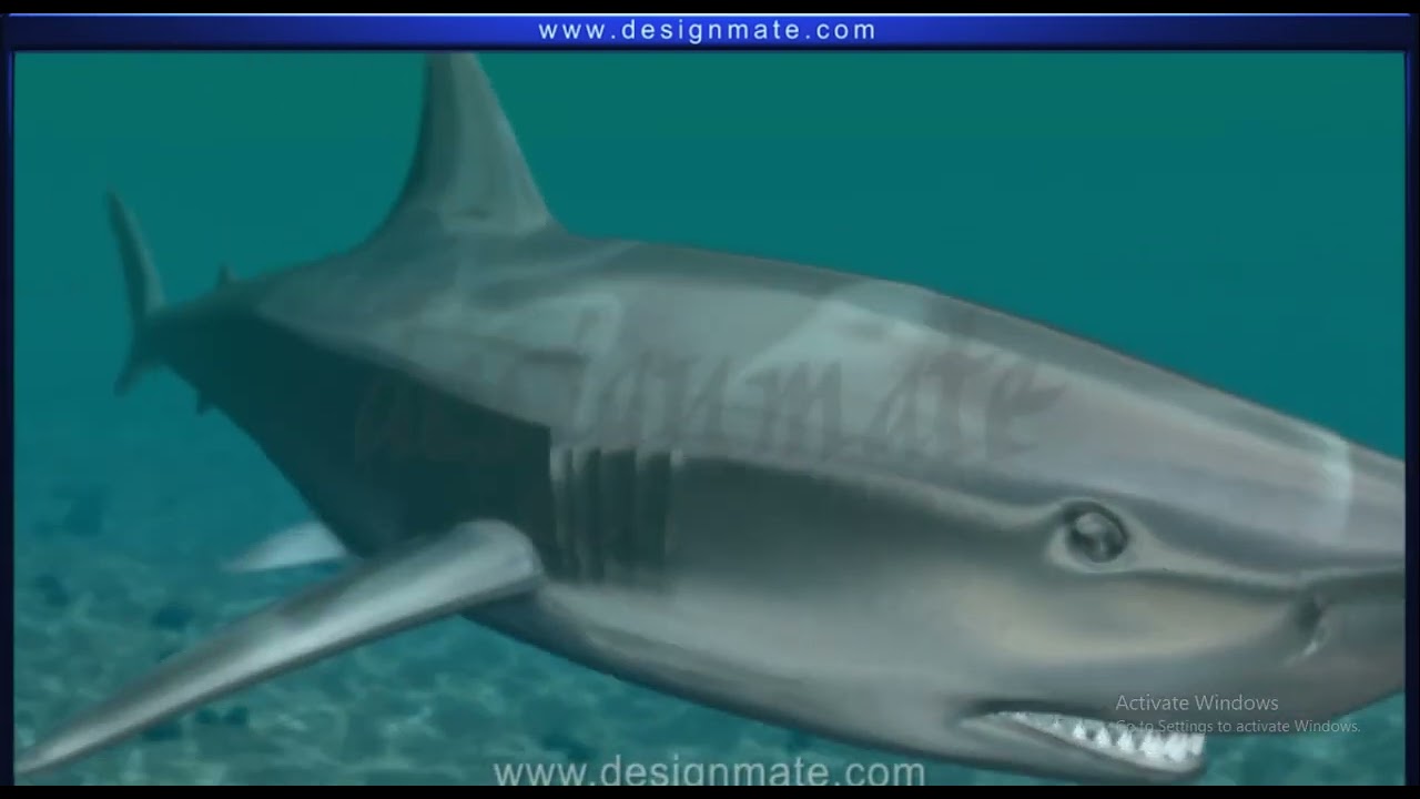 Osteichthyes and chondrichthyes