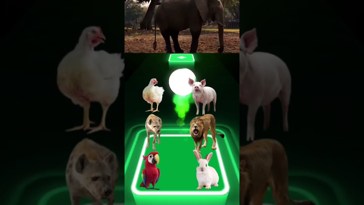 Funny Zombie Animals Dance Battle in Tiles Hop &ndash; Epic EDM Rush Show! 2 #shorts