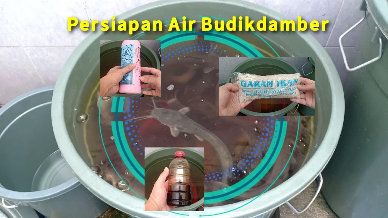 Persiapan Air Budikdamber