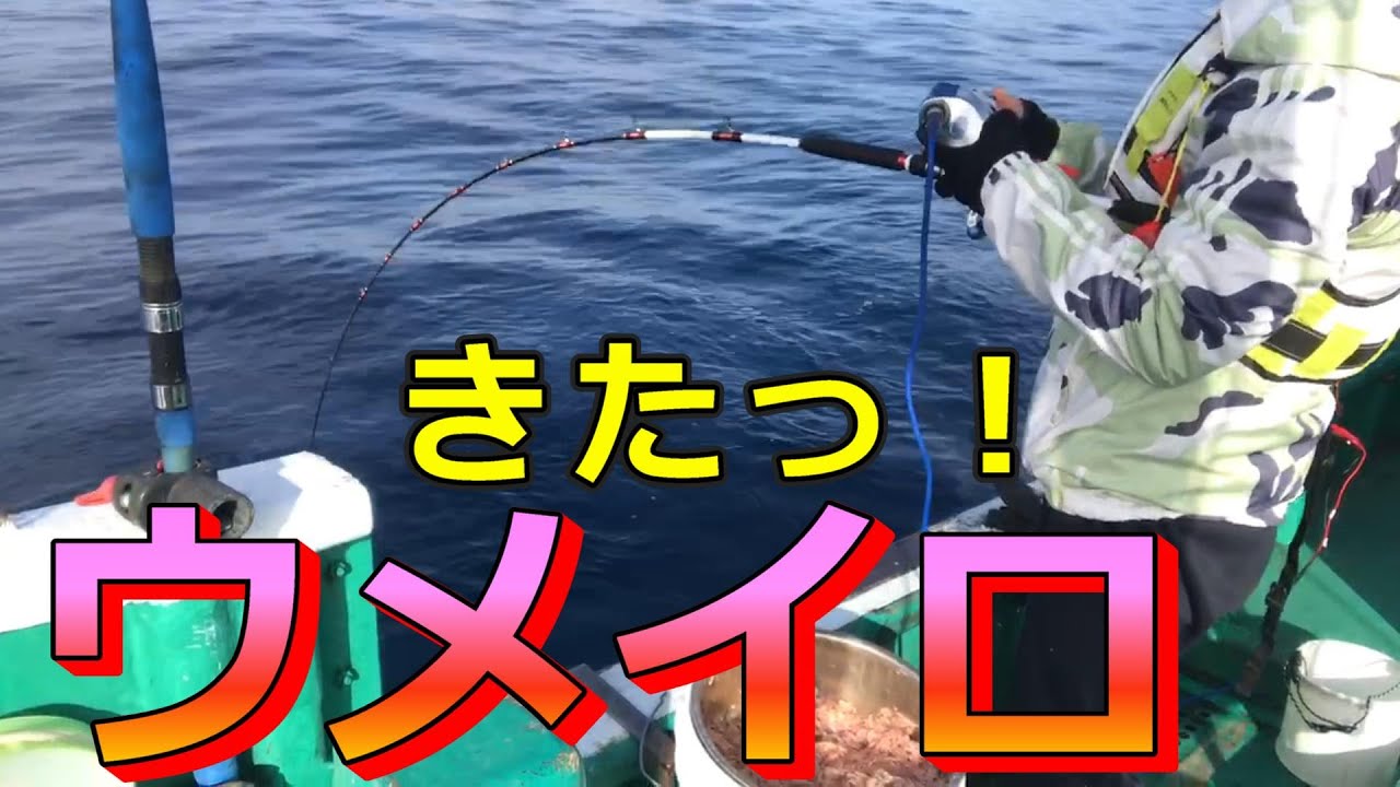 【和歌山見老津、ウメイロ、そして五目釣り。天昇丸さん】