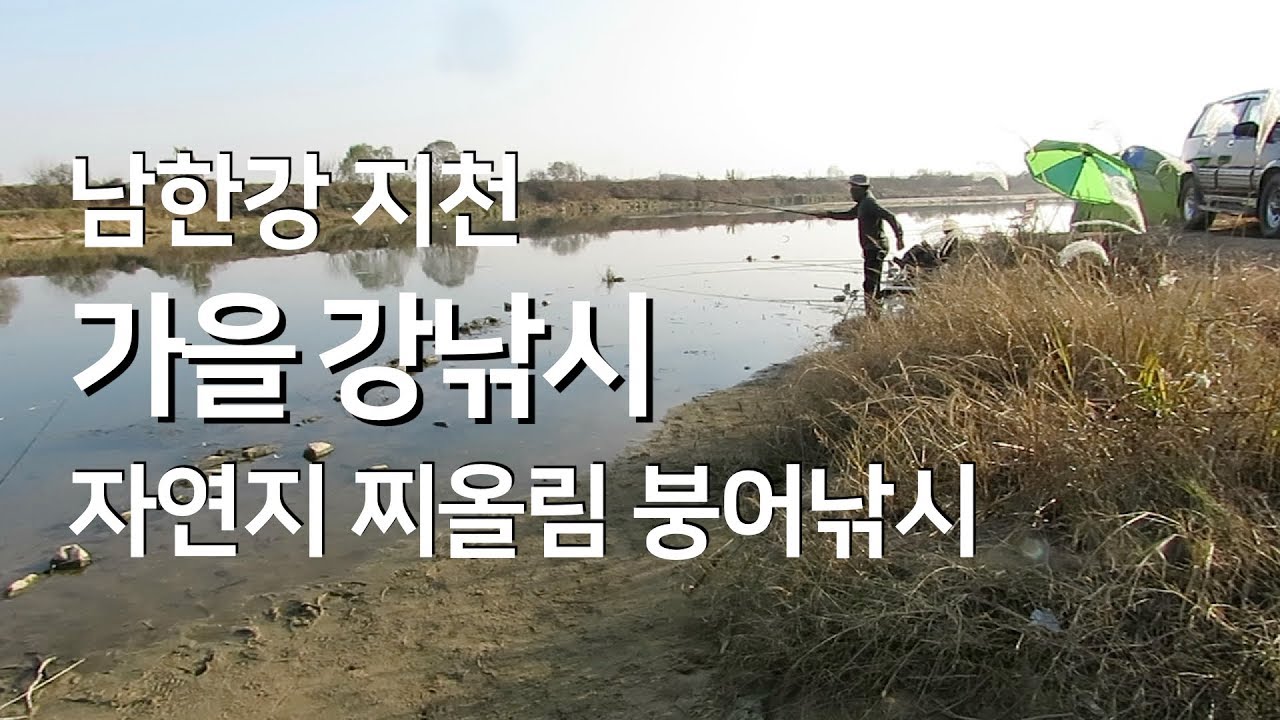 붕어낚시, 가을 강 낚시 찌올림 물가에선나무 동영상