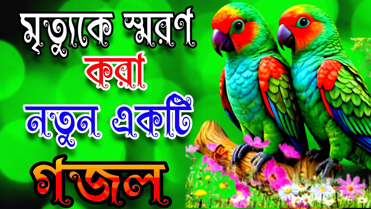 আমি পাপী আমি গুনাগার, খুবই দুঃখের গজল বা   bangla gazal notun Islamic top ghazal 