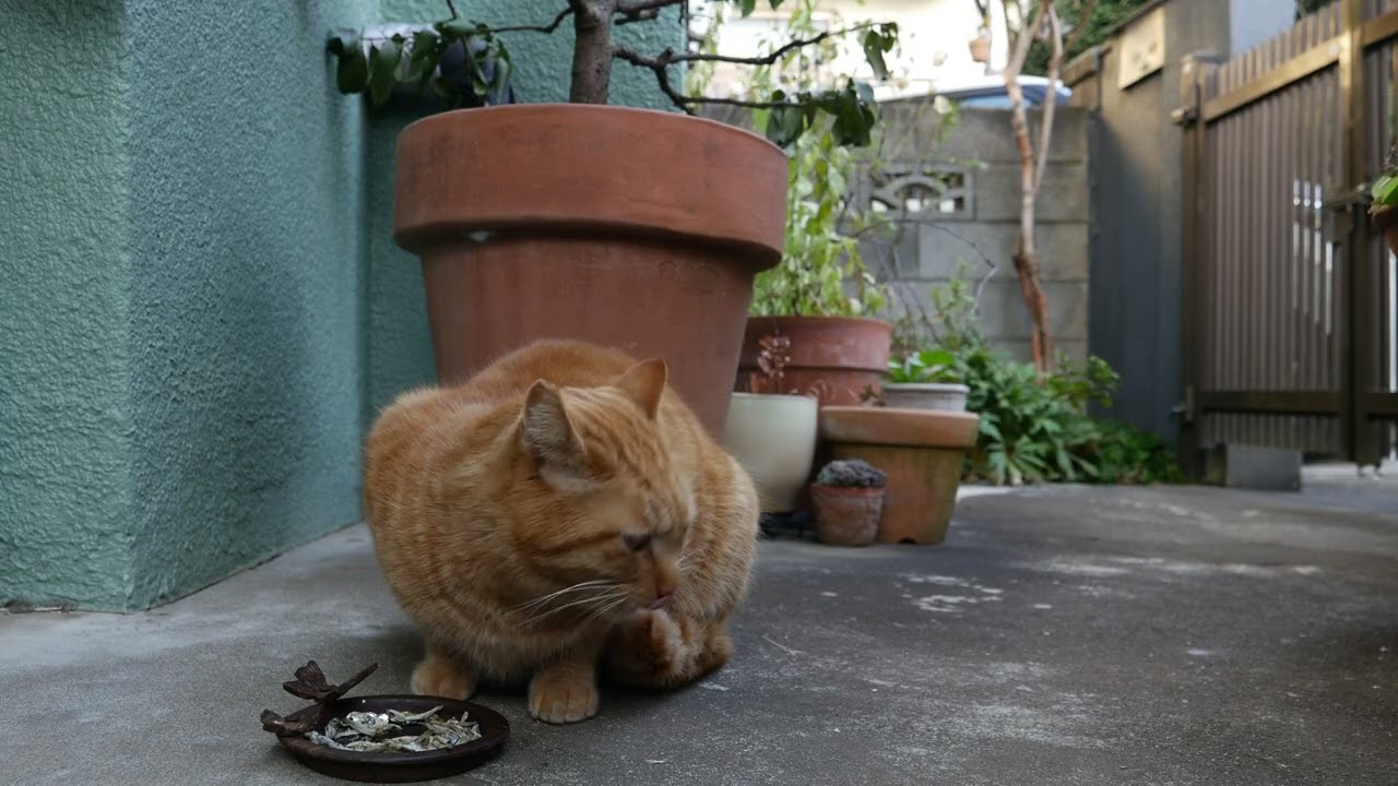 2026年01月28日07時43分