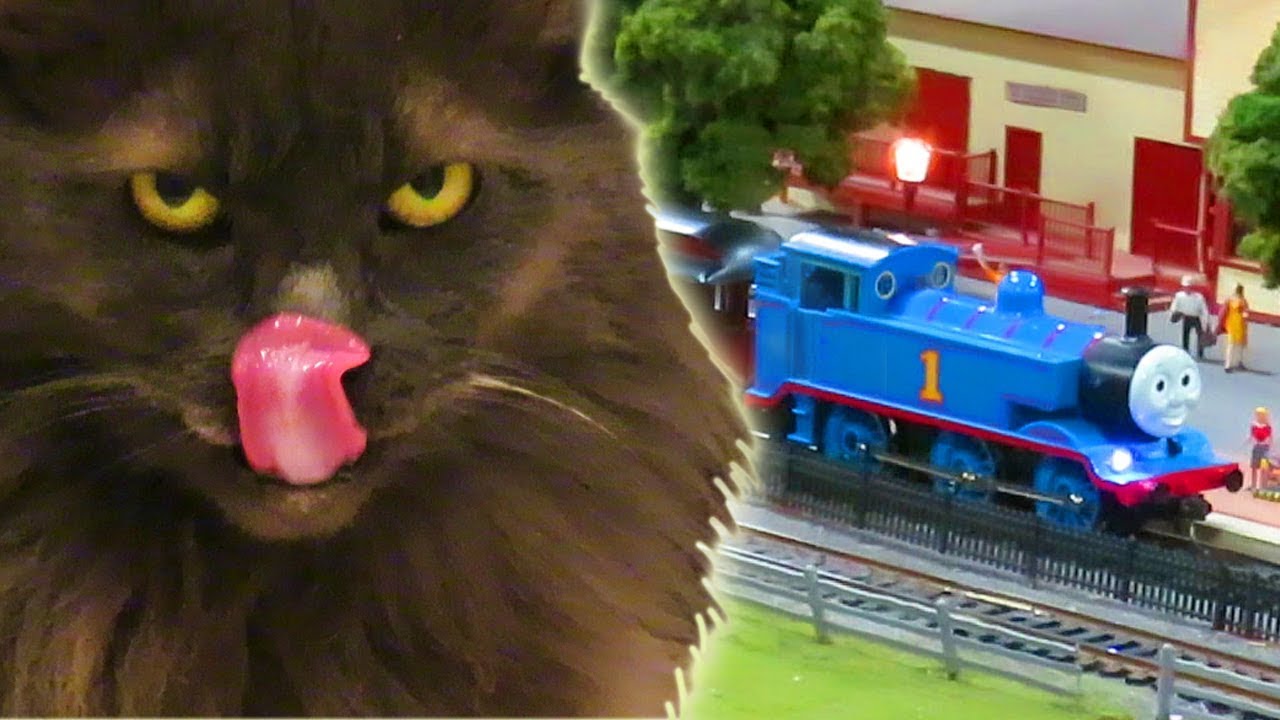 HILARIOUS Cat Chase 😆 & Train Show Oaks PA! (8.5.18 Vlog 470)