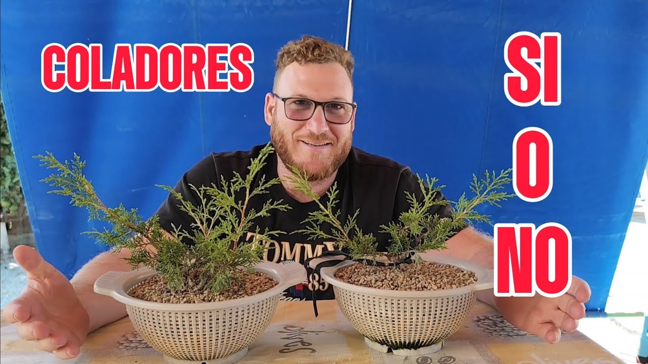 Deja de CULTIVAR en COLADORES