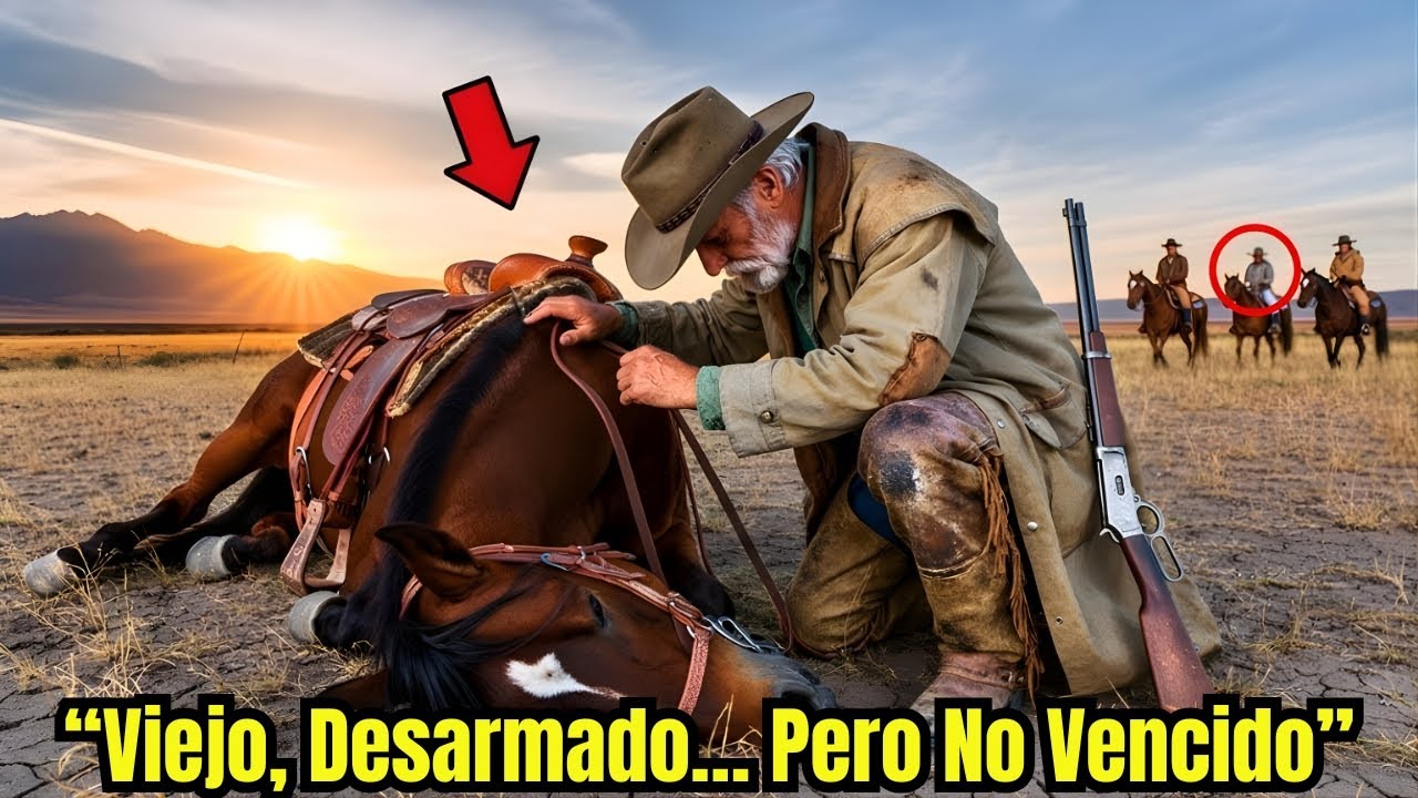 Mataron a su caballo… pero olvidaron que sin él, el viejo vaquero no tiene nada que perder