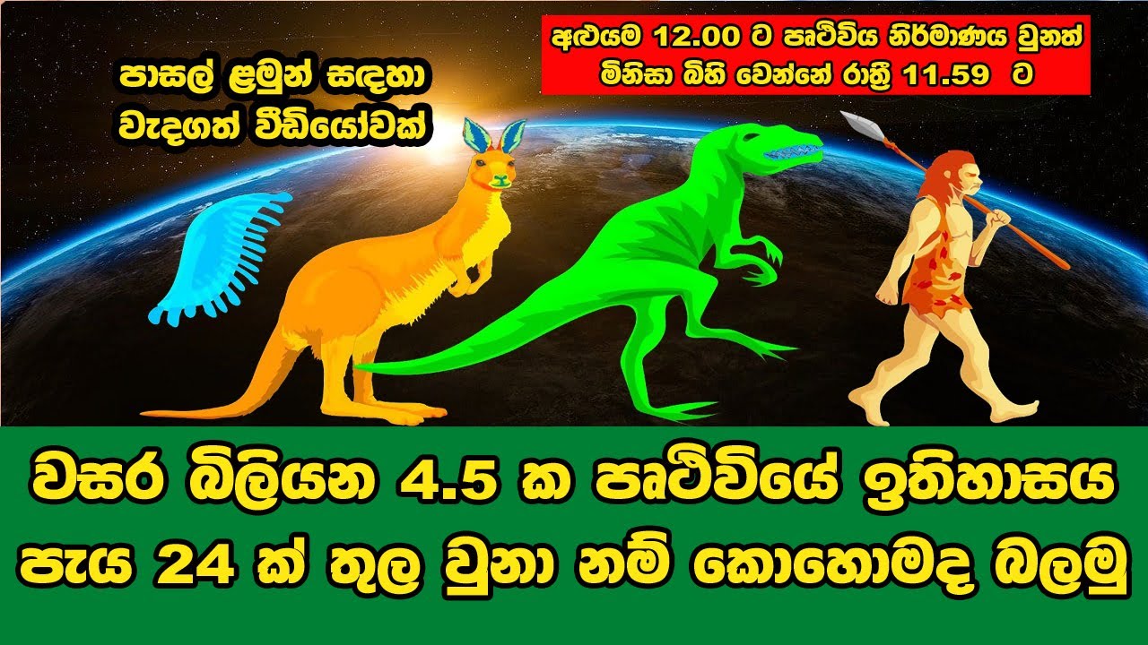 පෘථිවිය නිර්මාණයේ සිට අද දක්වා සම්පූර්ණ ඉතිහාසය කෙටියෙන් බලමු | Full History of Earth in few Minutes
