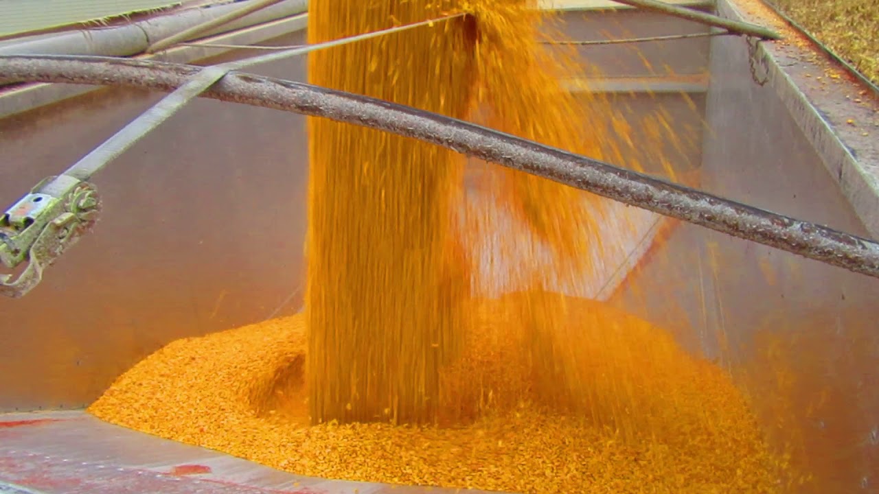Grain Cart unloads 1000 bu in under 2 minutes!