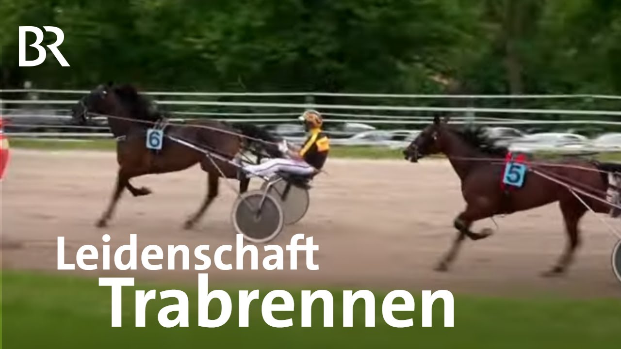 Leidenschaft Trabrennsport: Unterwegs mit einem Trabertrainer | Zwischen Spessart und Karwendel | BR