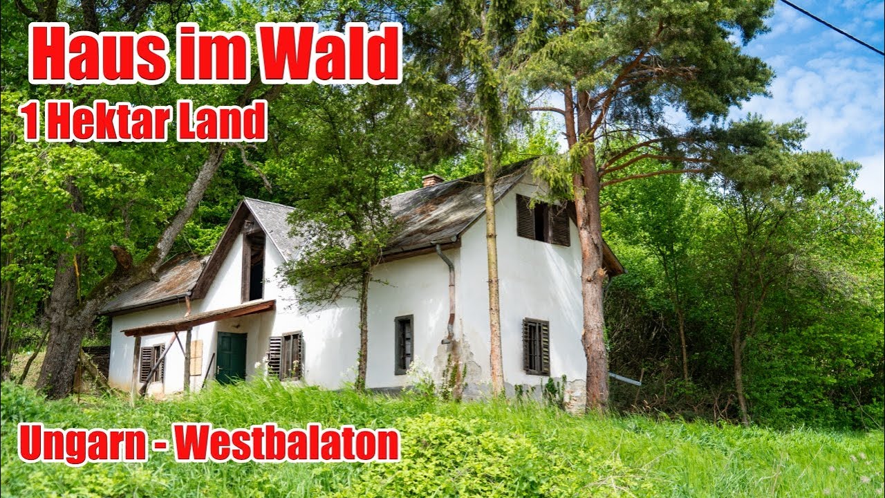 HAUS im WALD mit 1Ha LAND WESTBALATON UNGARN
