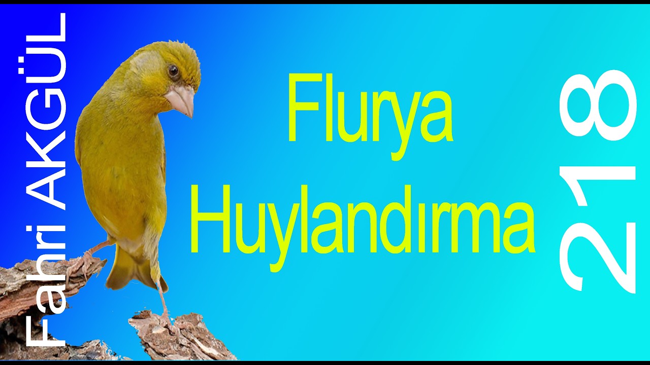 Fahri AKGÜL - Flurya Huylandırma 218
