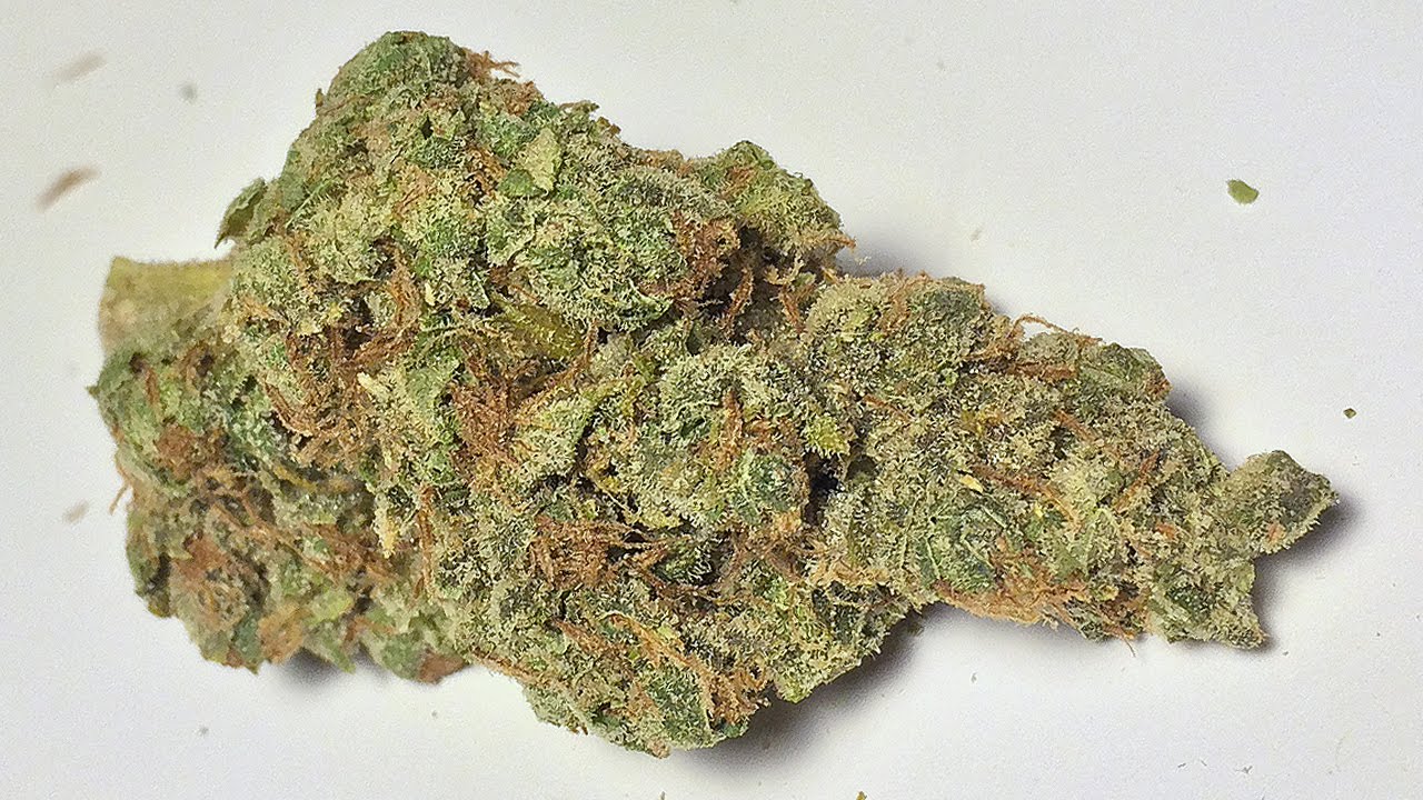 &laquo;Sour Alien&raquo; &mdash; (Обзор Strain)