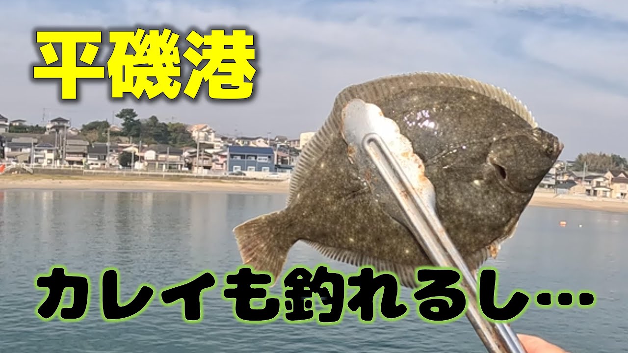 平磯港でちょい投げ