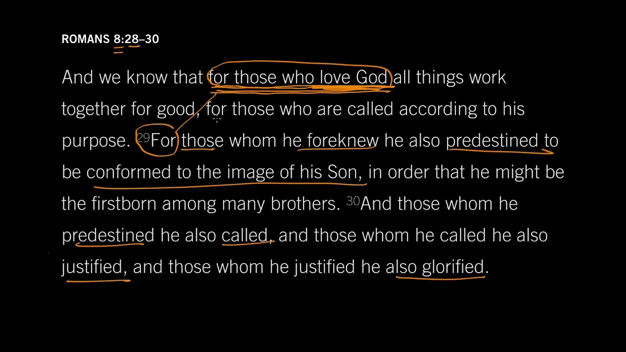 Do You Love God? Romans 8:28, Part 2