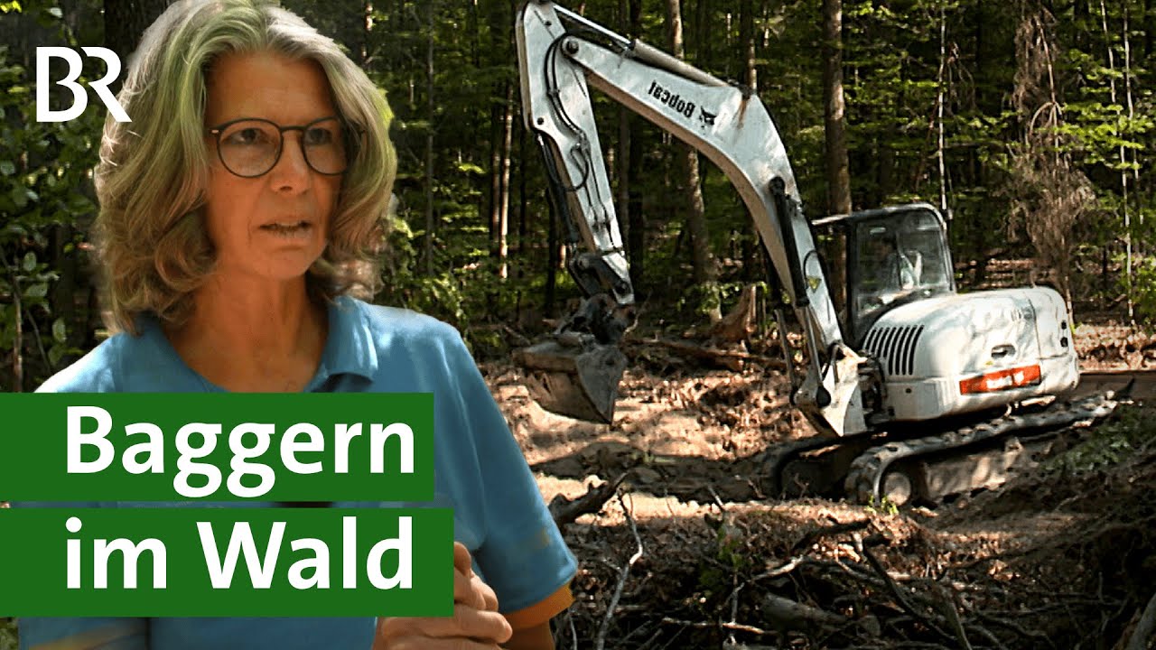 Bagger im Waldeinsatz: So lässt sich das Wasser speichern und der Wald retten | Unser Land | BR