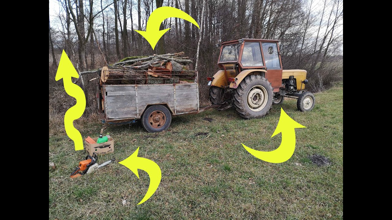 Wyprawa na nieużytki po drzewo || Ursus C360 3P, Stihl MS230