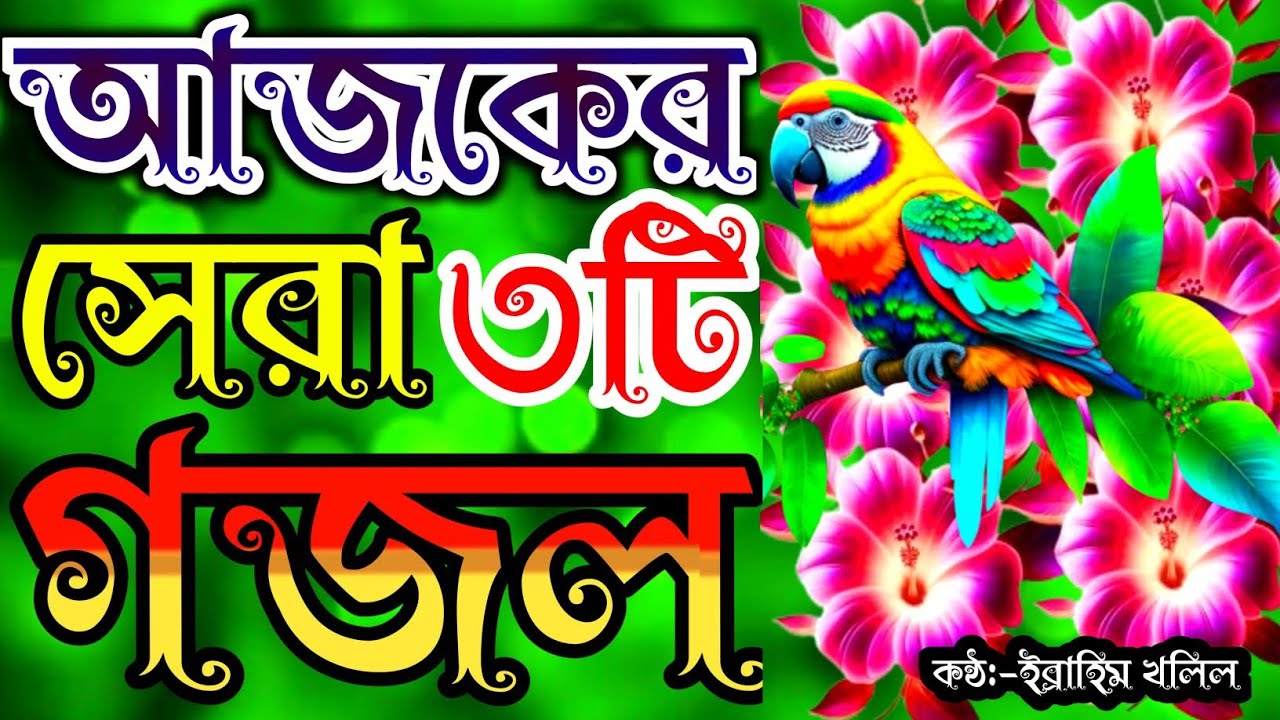দয়াল নবীজীর প্রেমে পরার মতো খুব সুন্দর ৩টি গজল | gojol | new gojol | new islamic song | gojol bangla
