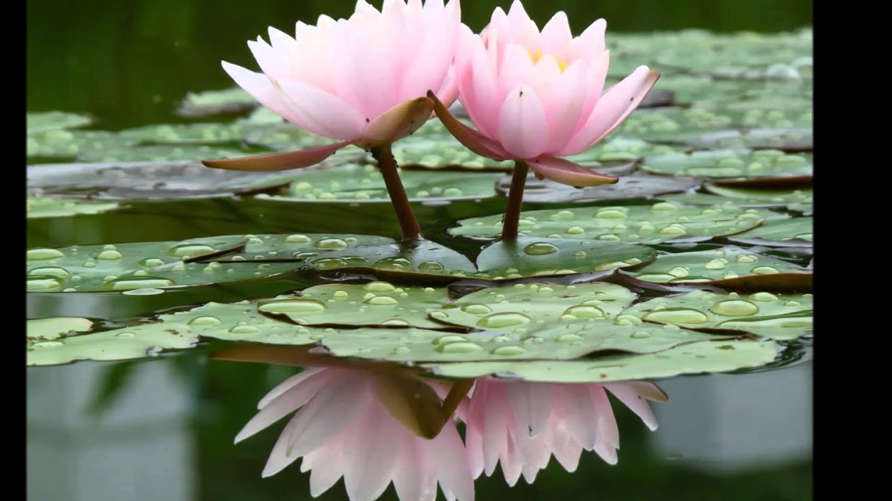 Mike Oldfield - Lake Constance (Pink Romance)