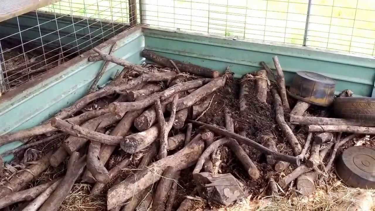 No-Smell Pig Pen, Natural Farming PureKNF